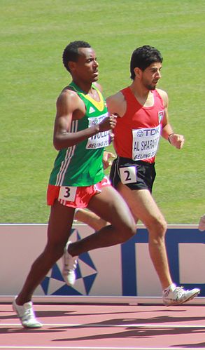 Awwad Al-Sharafat