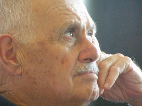 Bahjat al-Muhaisen