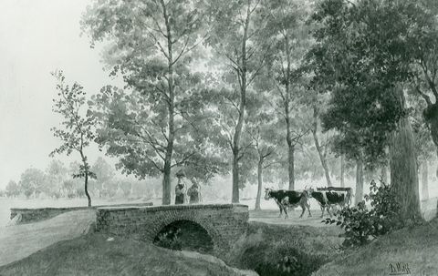 Balduin Wolff