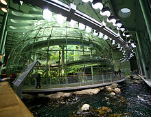 Gallery of Sylvia Earle