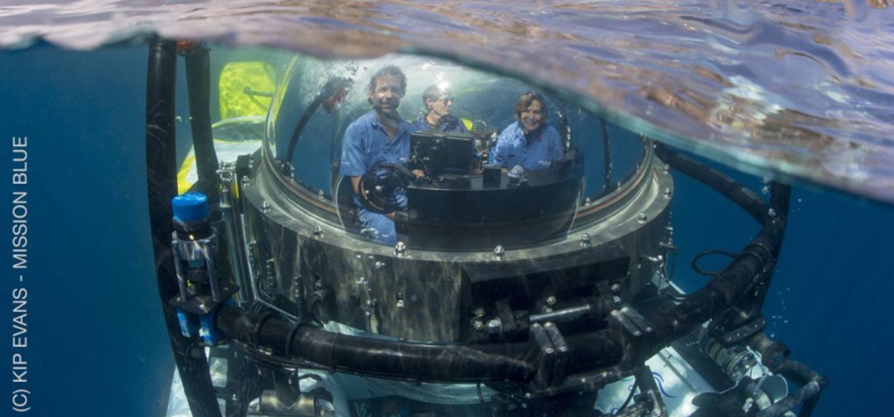 Gallery of Sylvia Earle