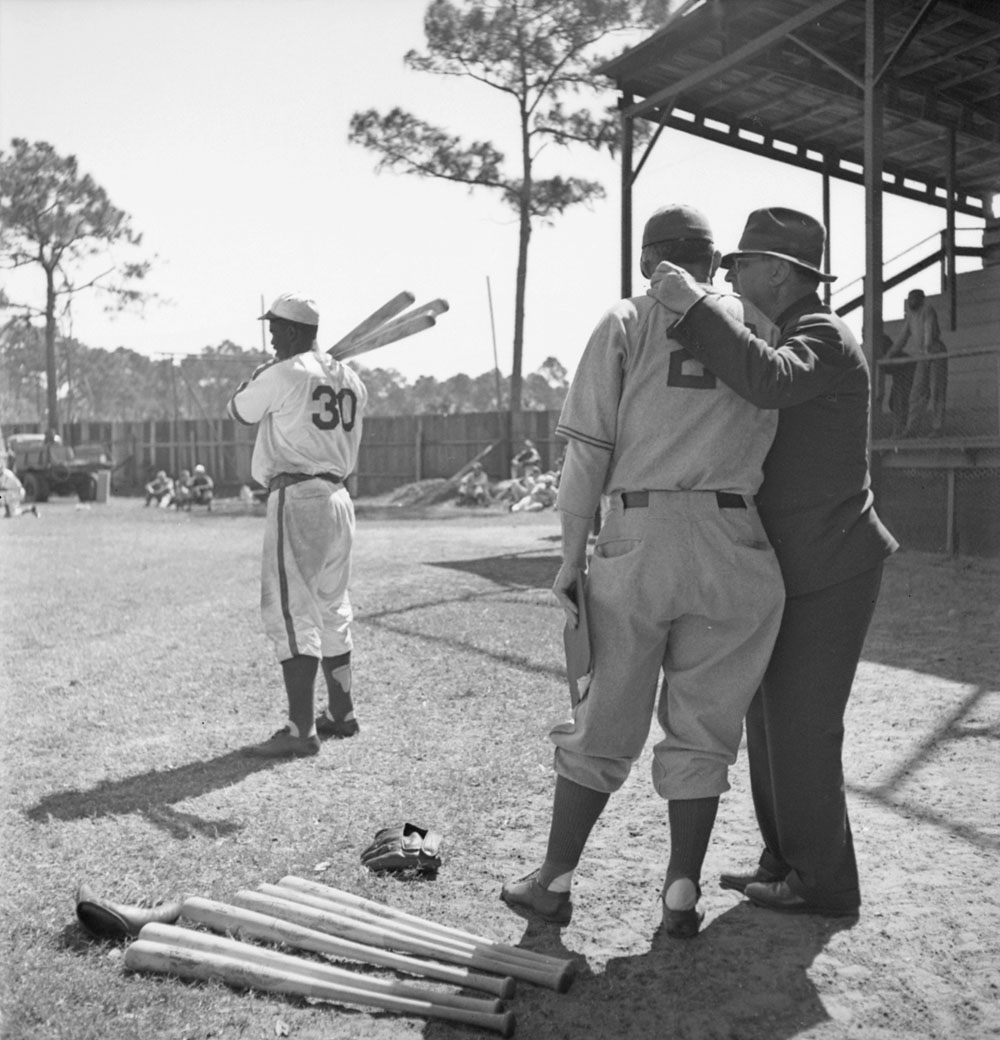 Gallery of Jack Robinson