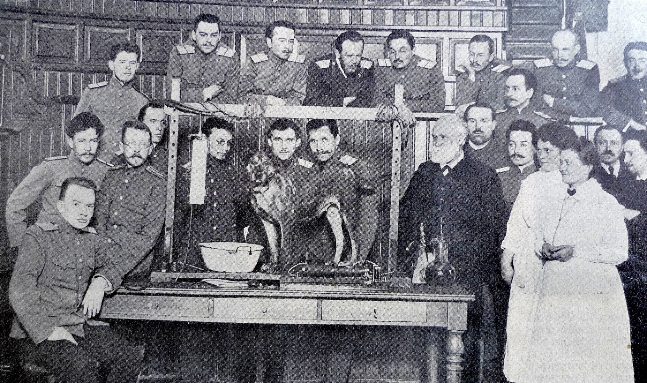 Gallery of Ivan Pavlov