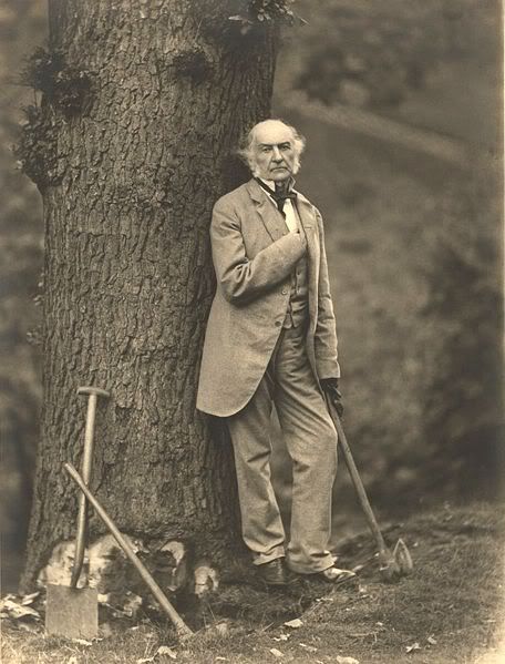 Gallery of William Gladstone