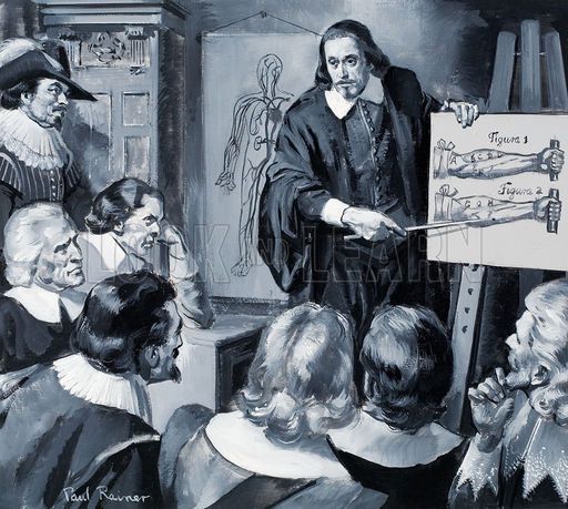 Gallery of William Harvey