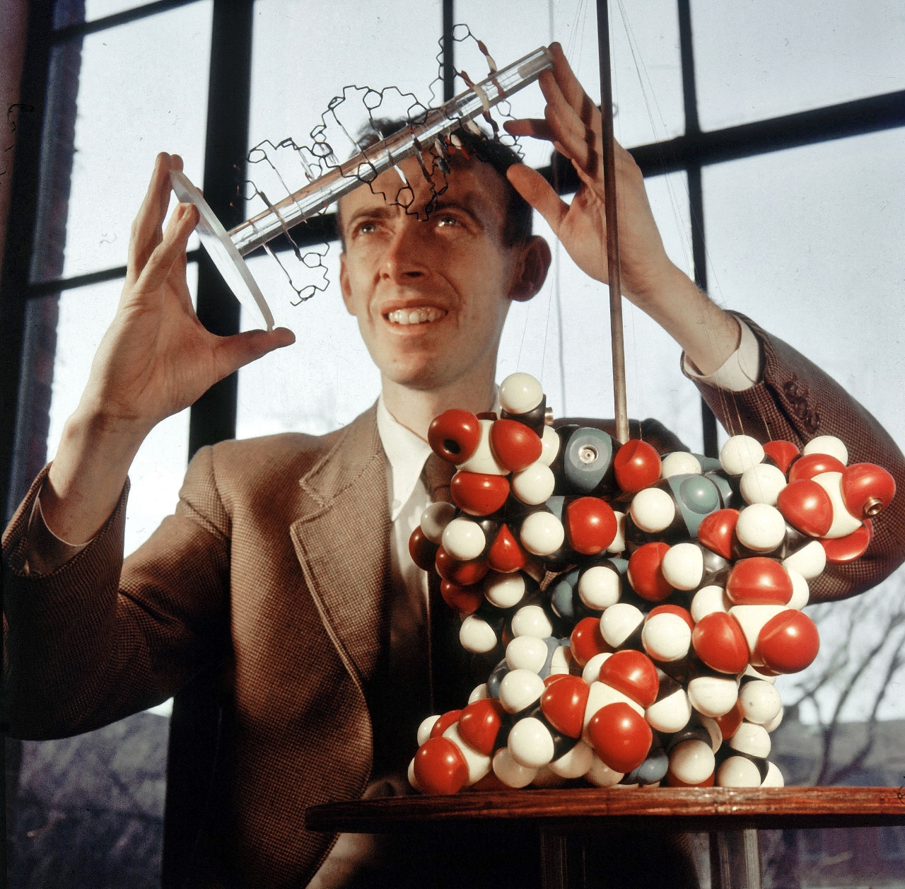 Gallery of James Watson