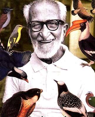 Salim Ali