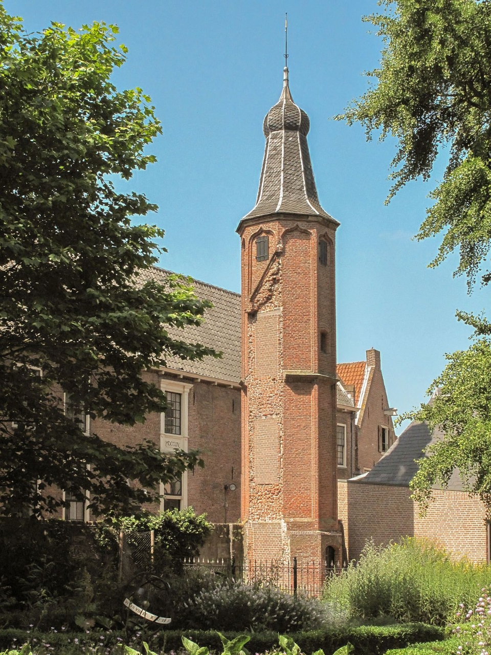 Gallery of Carl Linnaeus