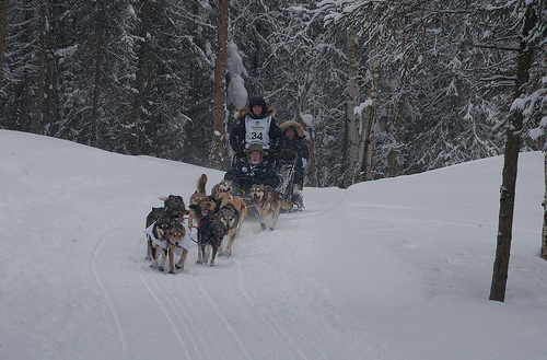 Dallas Seavey