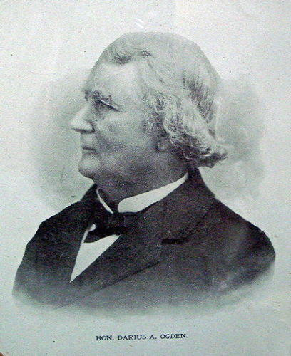 Darius Adams