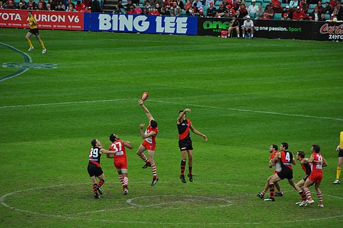Darren Jolly