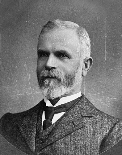 David Buddo