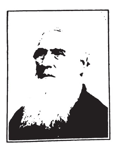 David Higgins