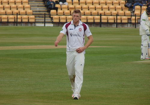 David Willey