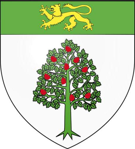 David O'Morchoe