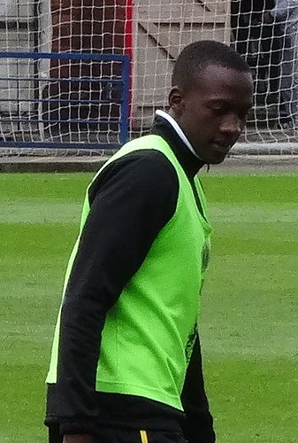 David Moyo