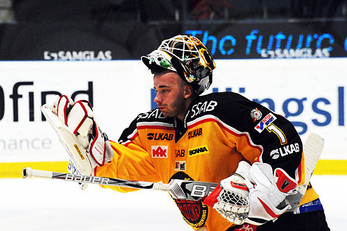 David Rautio