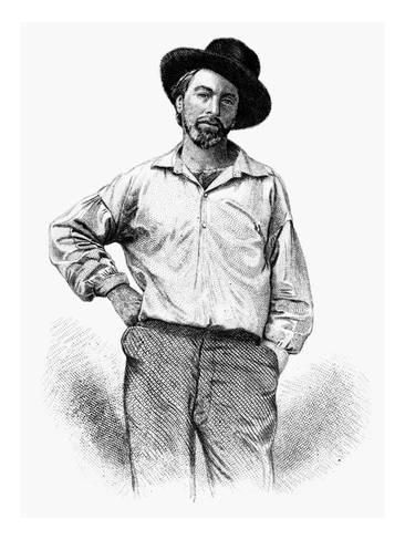 Gallery of Walt Whitman
