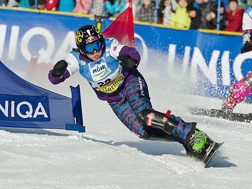 Ina Meschik