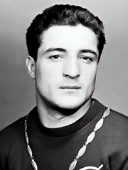 Ion Monea