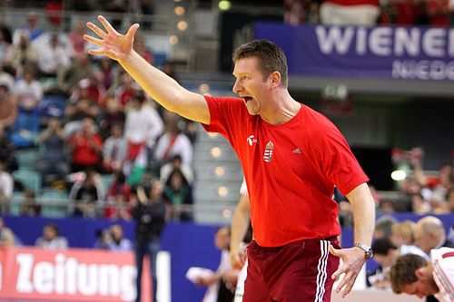 Istvan Csoknyai