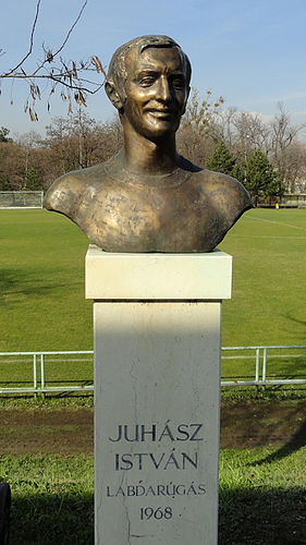 Istvan Juhasz