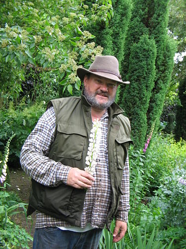 Ivo Pauwels