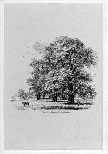 Jacob Strutt