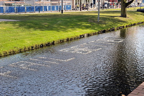 Job Koelewijn