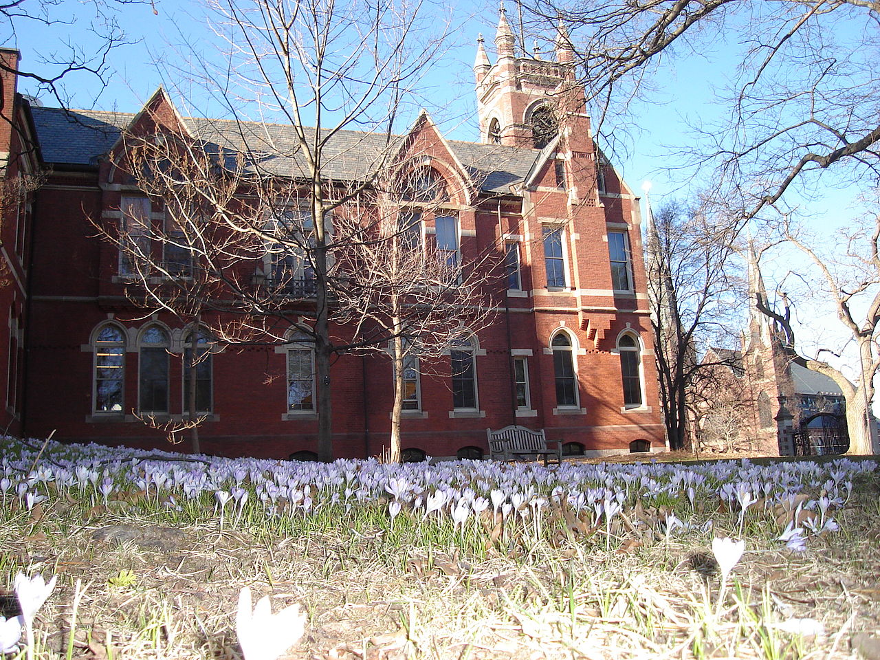 Gallery of Betty Friedan