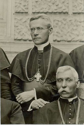 Josip Srebrnic