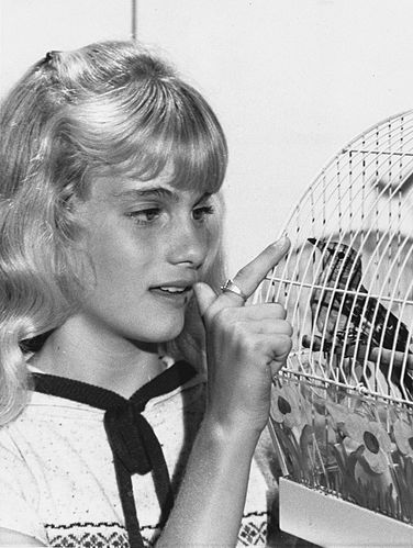 Julie Haddock
