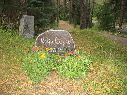 Kalju Lepik