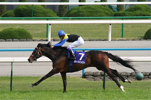 Makoto Kaneko