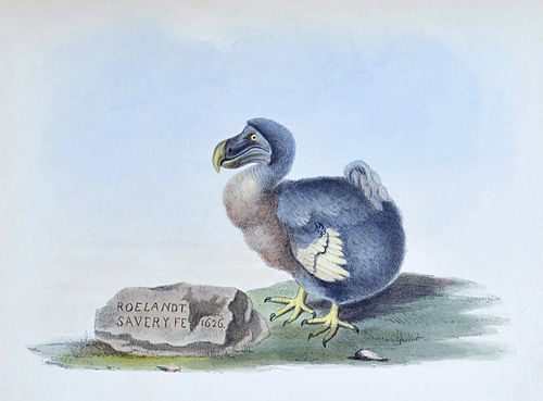 Alexander Melville
