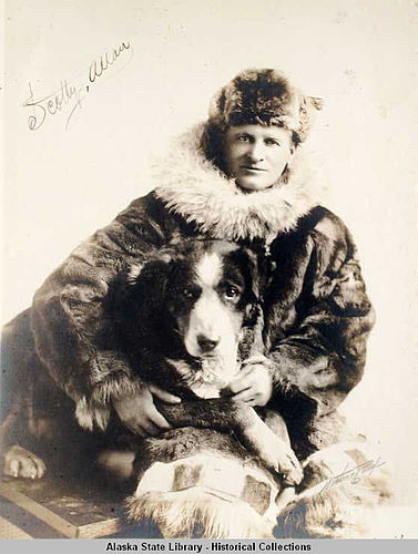 Allan Allan