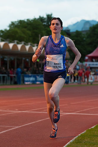 Amela Terzic