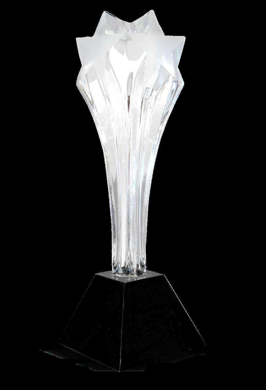 Critics' Choice Award