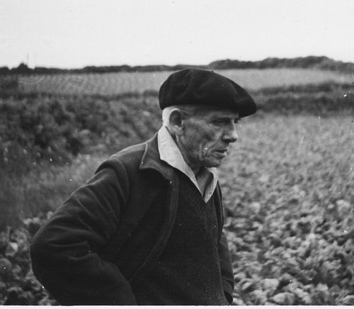 Fanch Elies