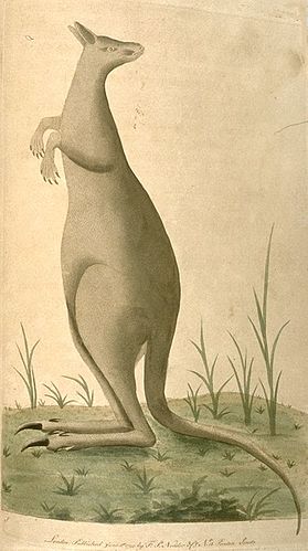 Frederick Nodder
