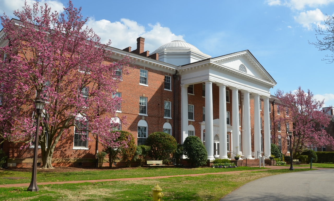 Gallery of Georgia O'Keeffe