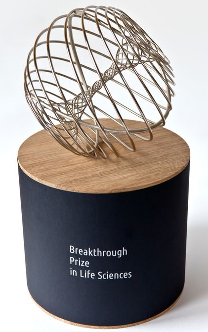Breakthrough Prize in Fundamental Physics