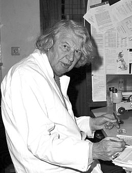 John Young