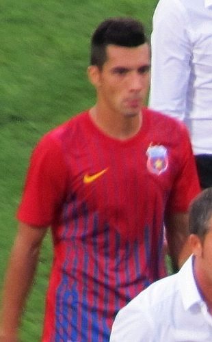 Paul Parvulescu