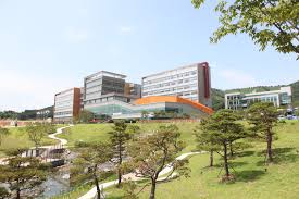 Gallery of Hong Nam