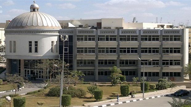 Gallery of Ashraf Elghamry