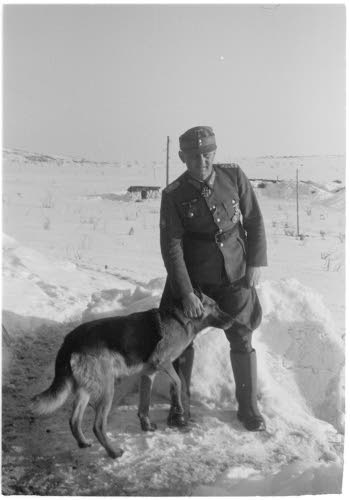 Georg Hengl