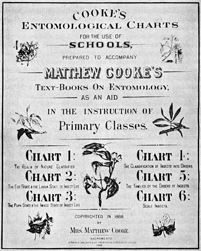 Matthew Cooke