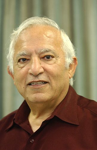Menashe Amir