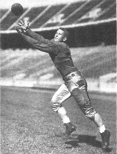 Merle Wendt